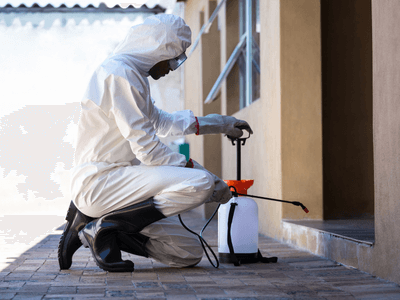 About Preston Pest Control - pest control experts in Preston, Melbourne